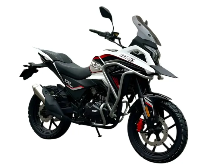 TORO R3X 250CC